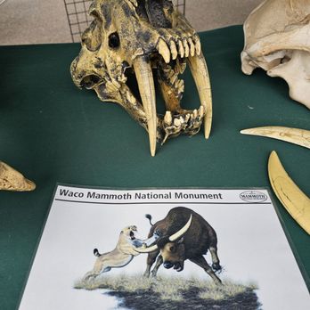 Waco Mammoth National Monument - Museums Near Me - Waco, Texas Waco Mammoth National Monument - Museums Near Me - Waco, Texas