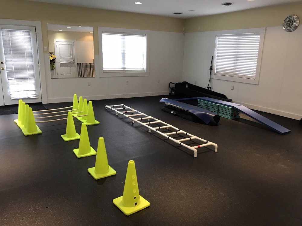 TAILS OF RYE CANINE PHYSICAL THERAPY 675 Wallis Rd, Rye, New