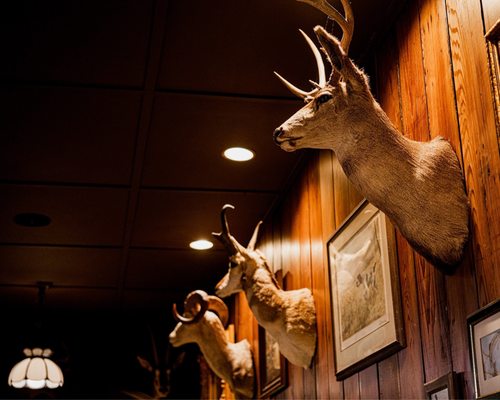 The Mountain House by null