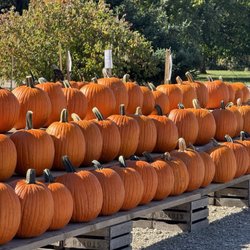 Stover's Farm & U-Pic