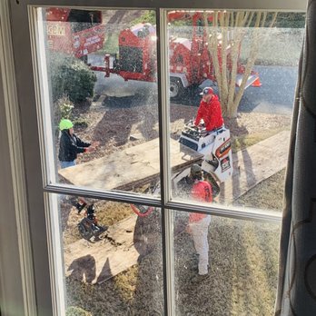 Southeast Tree - Tree Services Near Me - Marietta, Georgia