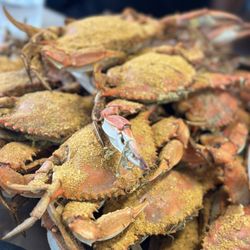 The Surfing Crab - Large dozen crabs