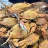 The Surfing Crab gift card