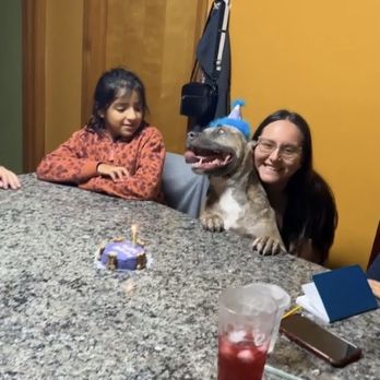 For Dogs Sake - 2nd birthday! - Pet Stores Near Me - Chicago, Illinois