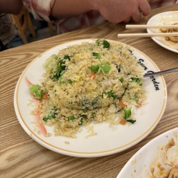 Dim Sum Garden - Vegetable Fried Rice - Dim Sum Near Me - Philadelphia, Pennsylvania Dim Sum Garden - Vegetable Fried Rice - Dim Sum Near Me - Philadelphia, Pennsylvania