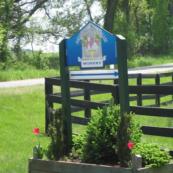 Mediterranean Cellars Winery - Wineries Near Me - Warrenton, Virginia
