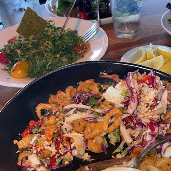 Shore - Calamari, vegan kale salad - New American Near Me - Longboat Key, Florida
