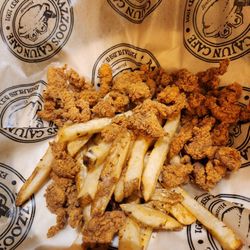 Alligator bites