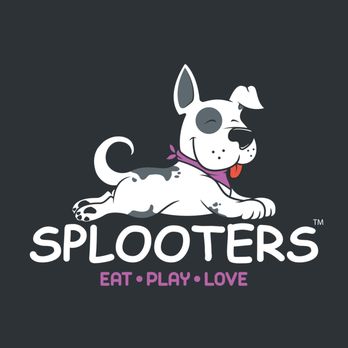 Splooters - Pet Sitting Near Me - Carlsbad, California Splooters - Pet Sitting Near Me - Carlsbad, California