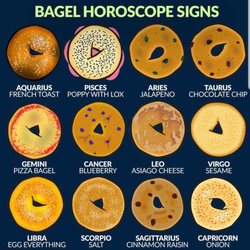 Friendly Bagels of Bayport