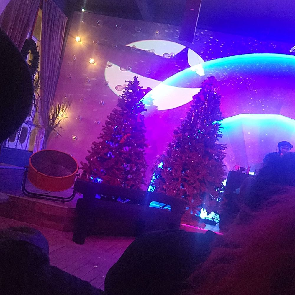 Pink Shark - The speakeasy in the back, xmas trees, and comfy sofas - Music Venues Near Me - San Antonio, Texas Pink Shark - The speakeasy in the back, xmas trees, and comfy sofas - Music Venues Near Me - San Antonio, Texas