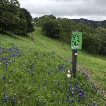 Skyline Wilderness Park - Parks Near Me - Napa, California Skyline Wilderness Park - Parks Near Me - Napa, California