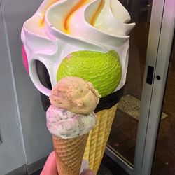 48 Flavours - 1 scoop, 2 flavors!