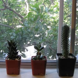 High Sierra Nursery
