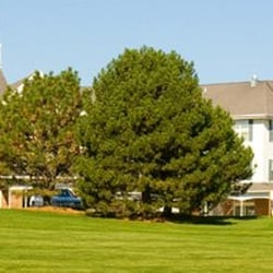 Peace Village - Peace Village