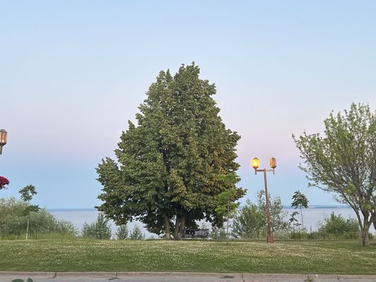 Sir Benedicts Tavern on the Lake by null