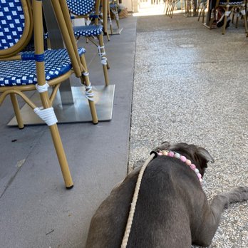 Brightwaters - Ivy dawg - Wine Bars Near Me - Huntington Beach, California