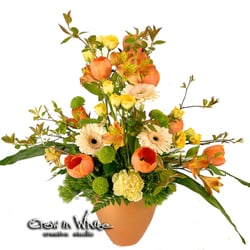 Crow In White creative studio - Spring flowers