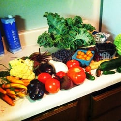 Bountiful Blessings Farm - Mid - summer csa half bushel - talk about VARIETY!