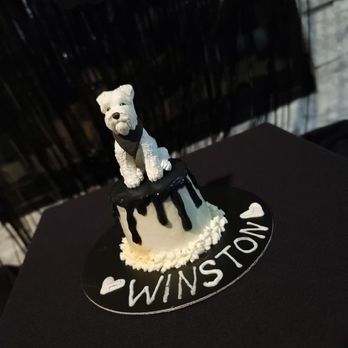 Pawtriotic Dog Bakery - Winston's cake. Topper was bought separately. Second year we bought his cake here. Staff is amazing! - Pet Stores Near Me - Murrieta, California Pawtriotic Dog Bakery - Winston's cake. Topper was bought separately. Second year we bought his cake here. Staff is amazing! - Pet Stores Near Me - Murrieta, California