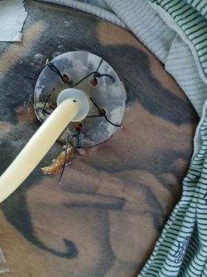 Harris Health Ben Taub Hospital by null