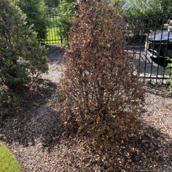 Sweeney Landscape Services