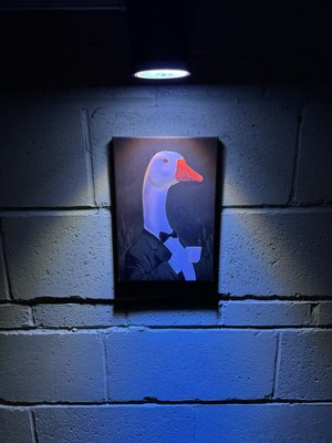 The Blue Duck by null