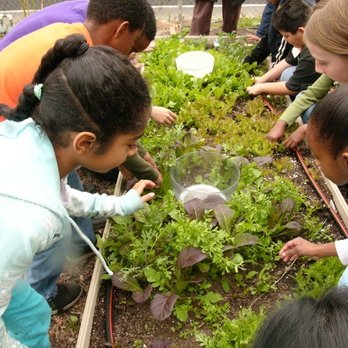 Carthay School Environmental Studies Magnet - Students in the Garden of Possibilities - Elementary Schools Near Me - Los Angeles, California Carthay School Environmental Studies Magnet - Students in the Garden of Possibilities - Elementary Schools Near Me - Los Angeles, California