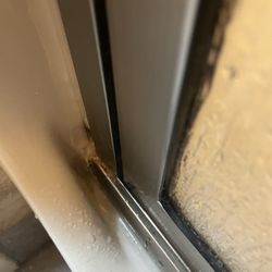 Red Roof PLUS+ Palm Coast - Mold and other people hair on the floors