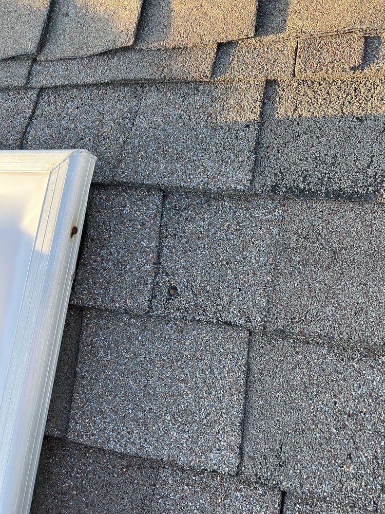 HOMEGUARD INCORPORATED Updated August 2024 51 Photos & 364 Reviews