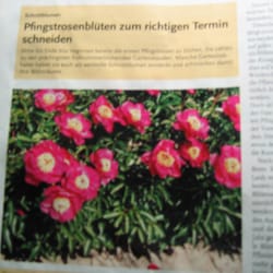 Siedlerbund Nrw e.V.
