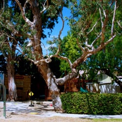 Palos Verdes Hills Nursery School - The grounds are almost as beautiful as the love of learning that the kids develop at this school!