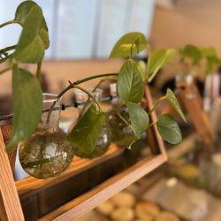 Cumbres Coffee Roasters