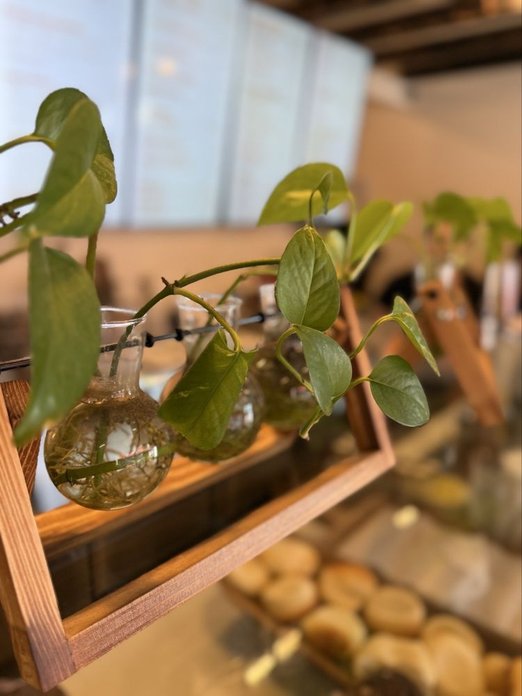 Coffee Beans & Greens