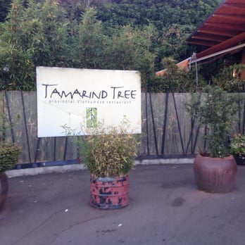Tamarind Tree Restaurant - Don't be put off by the surrounding area, tamarind tree is nice and clean. - Vietnamese Near Me - Seattle, Washington Tamarind Tree Restaurant - Don't be put off by the surrounding area, tamarind tree is nice and clean. - Vietnamese Near Me - Seattle, Washington
