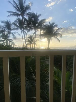 Pineapple Inn Maui by null