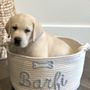Photo of Rooster Valley Labradors