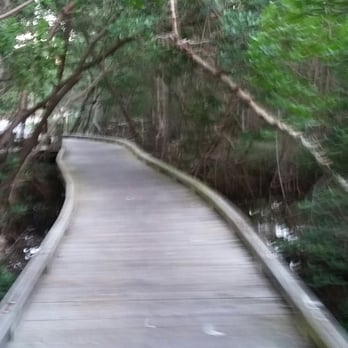 Robinson Preserve - As I was riding the trail.. :) - Parks Near Me - Bradenton, Florida