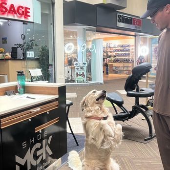 Shoe MGK Chico - Shoe Shine Near Me Shoe MGK Chico - Shoe Shine Near Me