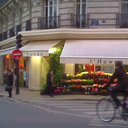 L'Howea