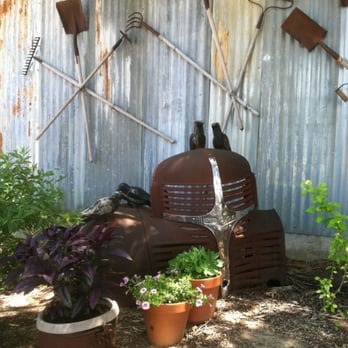 Lavender Ridge Farms - Nurseries & Gardening Near Me - Gainesville, Texas Lavender Ridge Farms - Nurseries & Gardening Near Me - Gainesville, Texas