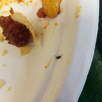 Rancheros Florentinum - Small ant in nachos - Mexican Near Me - Prague, Puerto Rico