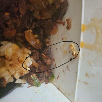 Fukuryu Ramen - White hair in my food! - Ramen Near Me - Upper Arlington, Ohio
