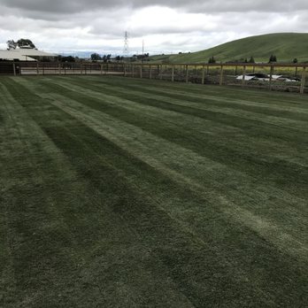 A-G Sod Farms - Celebration Bermuda Big Roll Install - Landscape Architects or Designers Near Me - Lodi, California A-G Sod Farms - Celebration Bermuda Big Roll Install - Landscape Architects or Designers Near Me - Lodi, California