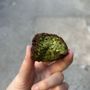 Photo of Mamoun's Falafel