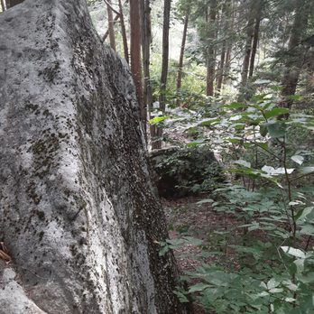 Burr Pond State Park - A stone. - Parks Near Me - Torrington, Connecticut