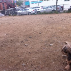 Murray Dog Run