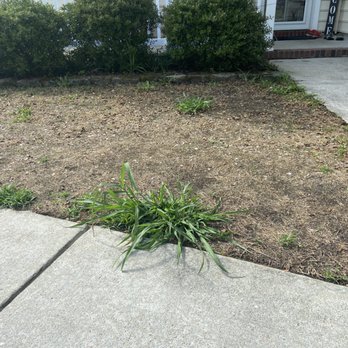Lawn Doctor - a patch of grass in front of a house - Lawn Services Near Me - Summerville, South Carolina
