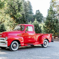 Patchen California Christmas Tree Farms - Meet Betty...Patchen's official mascot!