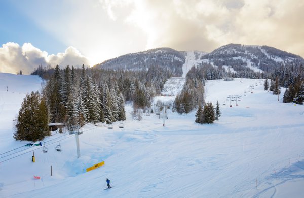 The Josie Hotel, Autograph Collection by null